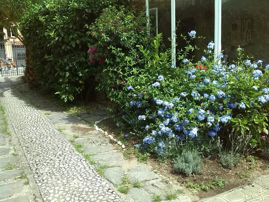 Il Nido Sul Mare A Forte Dei Marmi Zimmer foto